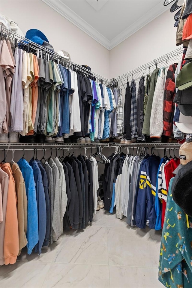 view of spacious closet