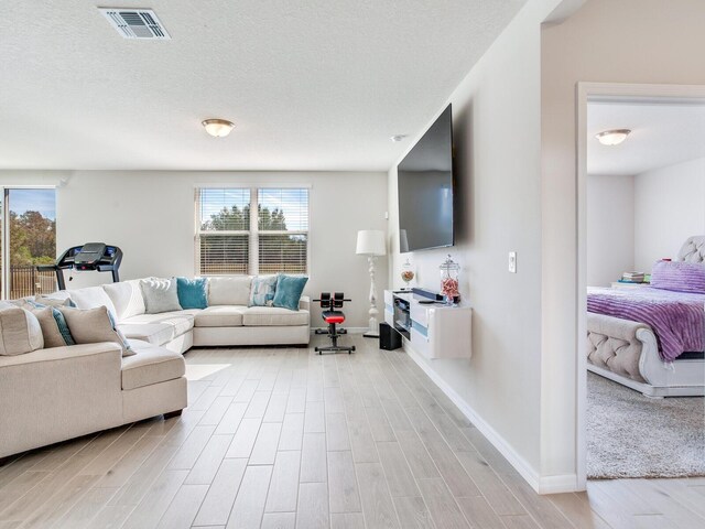 living room with light hardwood / wood-style flooring