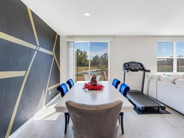 dining room featuring light hardwood / wood-style flooring