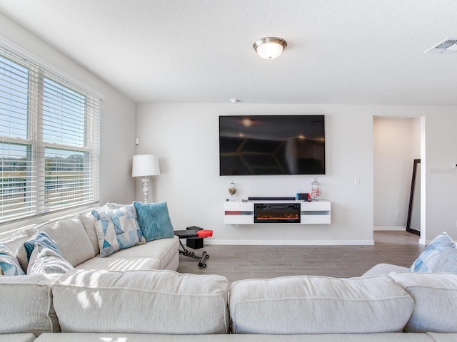 living room with hardwood / wood-style floors