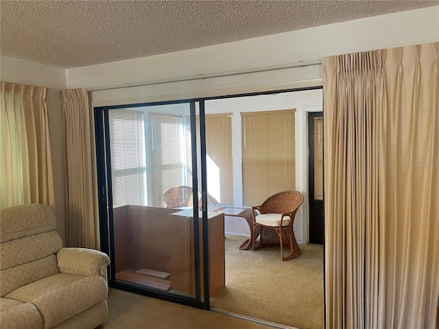 sitting room with carpet and a textured ceiling