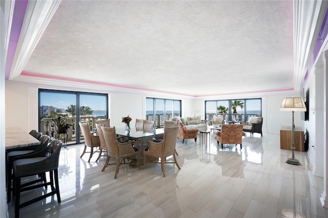 dining space with a tray ceiling, a wealth of natural light, and light wood-type flooring