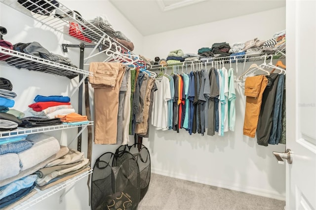 spacious closet with carpet