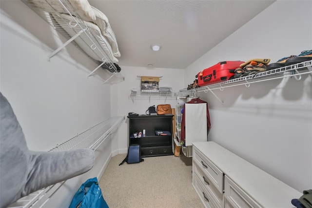 spacious closet featuring light carpet