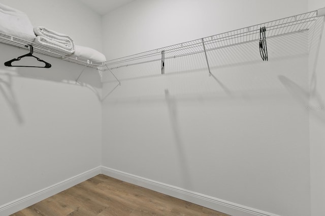 walk in closet with hardwood / wood-style flooring