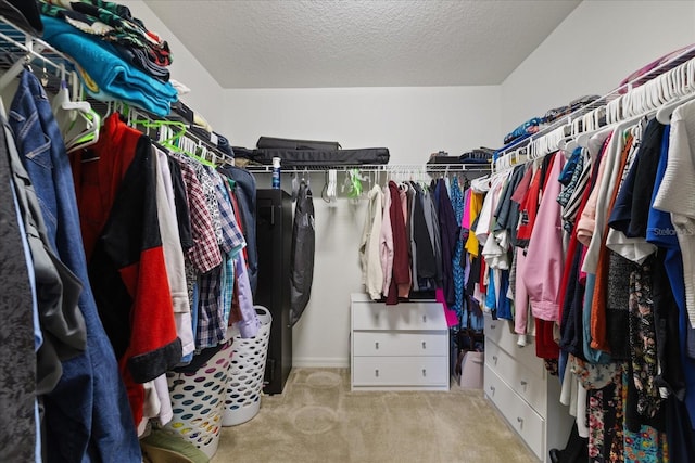 walk in closet featuring light carpet