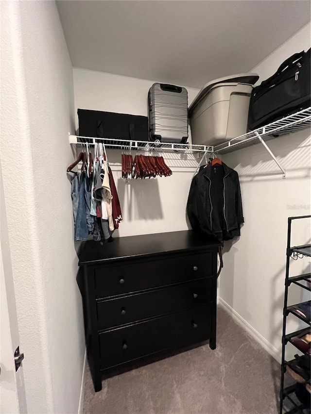 spacious closet with carpet flooring