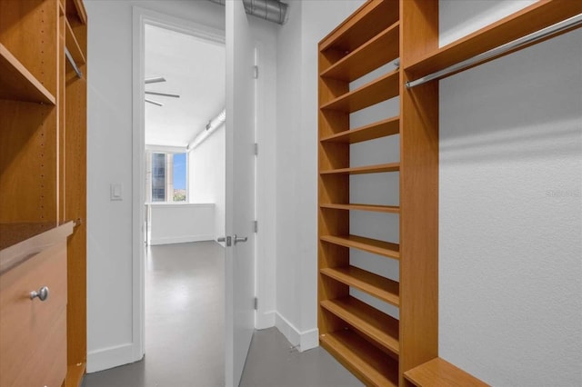 view of walk in closet