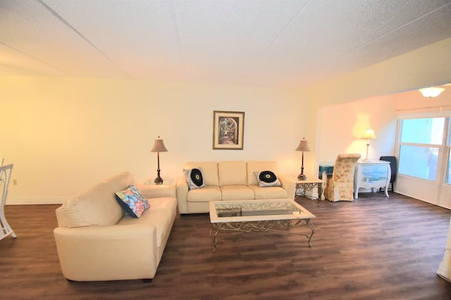 living room featuring dark hardwood / wood-style flooring and a textured ceiling