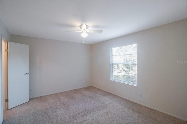 1400 Gandy Blvd N Unit 715, Saint Petersburg, FL 33702 - photo 18
