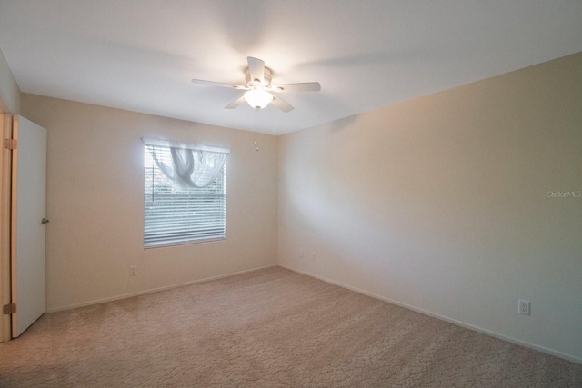 unfurnished room with ceiling fan and carpet