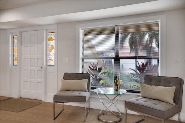 living area featuring a wealth of natural light and wood-type flooring