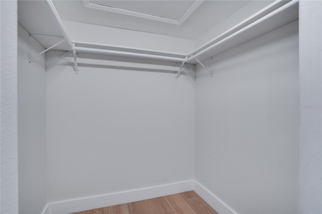 walk in closet featuring hardwood / wood-style floors