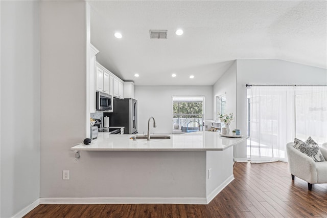 kitchen featuring dark hardwood / wood-style flooring, kitchen peninsula, sink, and appliances with stainless steel finishes