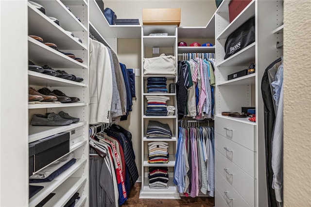 walk in closet with dark hardwood / wood-style floors