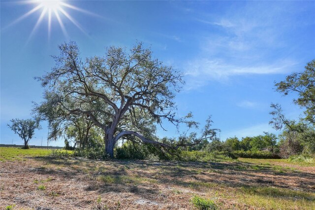 17744 Bledsoe Loop, Lithia, FL 33547 - photo 4