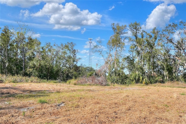 17744 Bledsoe Loop, Lithia, FL 33547 - photo 5