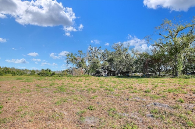 17744 Bledsoe Loop, Lithia, FL 33547 - photo 6