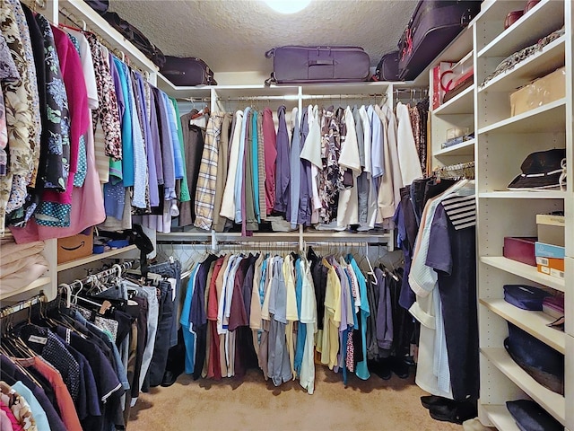 spacious closet with light colored carpet