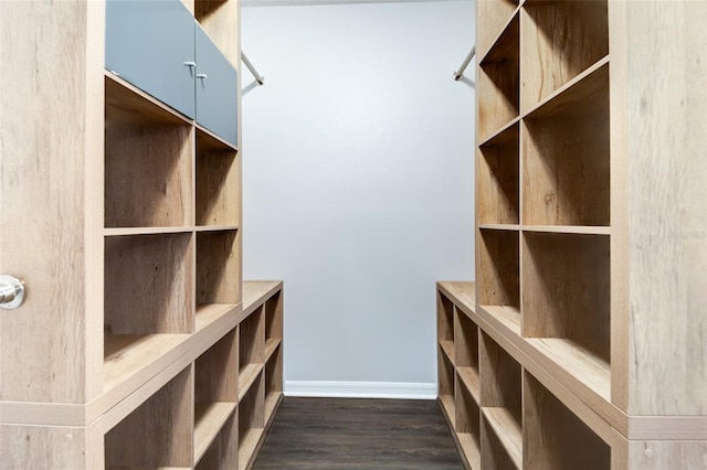 spacious closet featuring dark hardwood / wood-style floors