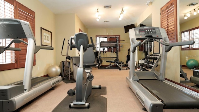 workout area featuring a wealth of natural light, light carpet, and track lighting