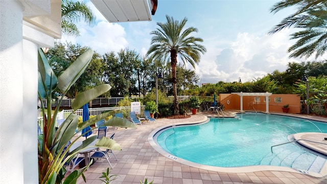 view of pool featuring a patio area