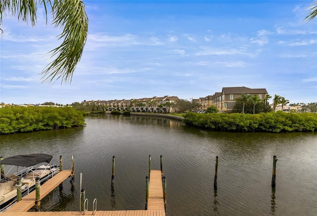 dock area with a water view