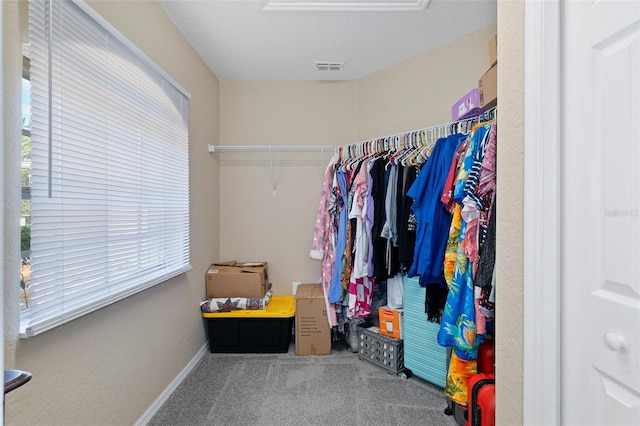 spacious closet with carpet floors