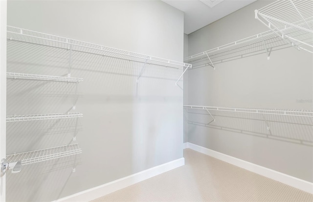 walk in closet with carpet floors