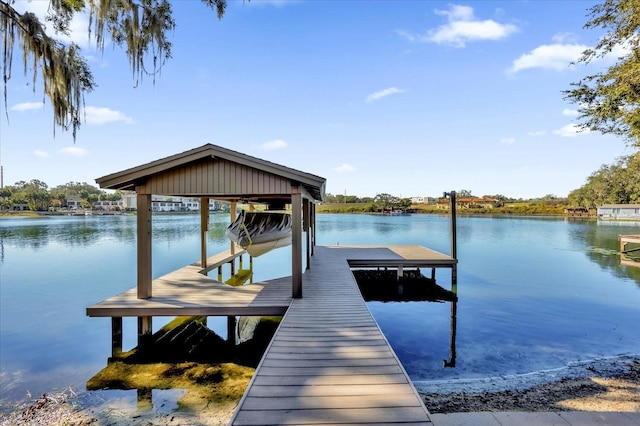 dock area with a water view