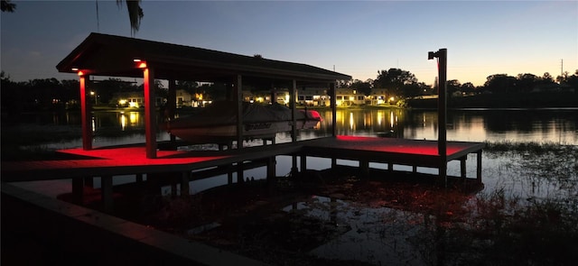 dock area with a water view