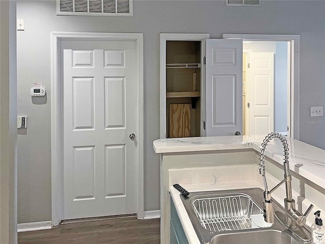 bathroom with wood-type flooring and sink