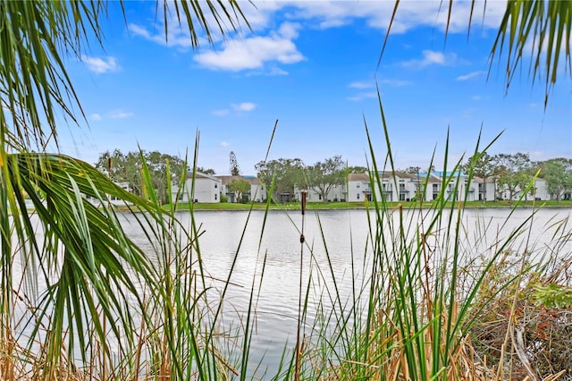 property view of water