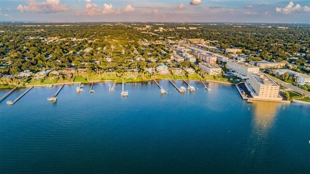 bird's eye view with a water view