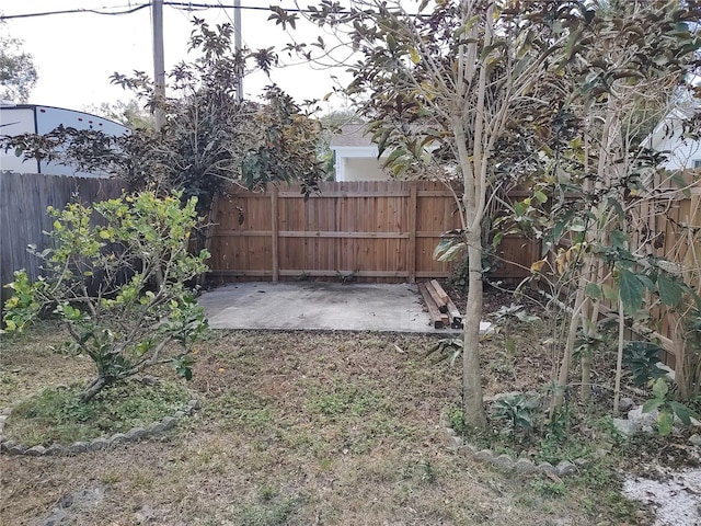 view of yard featuring a patio area