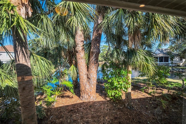 1012 Osprey Ct, Tarpon Springs, FL 34689 - view of yard