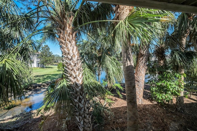 1012 Osprey Ct, Tarpon Springs, FL 34689 - view of nature