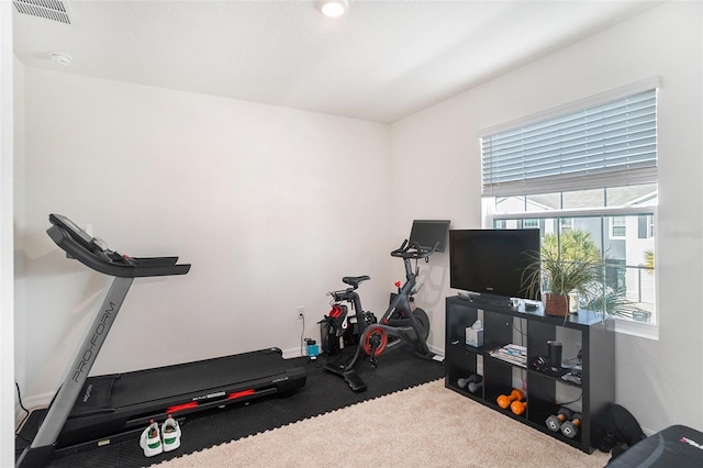 exercise room featuring carpet