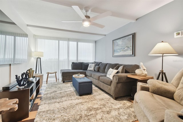 living room with ceiling fan and light wood-type flooring