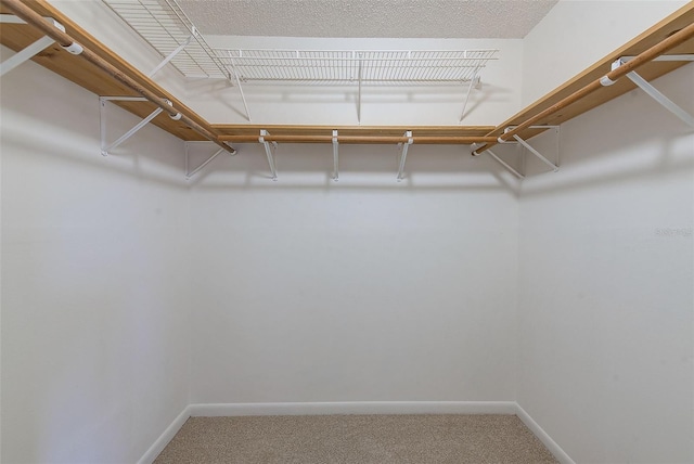 spacious closet with carpet flooring