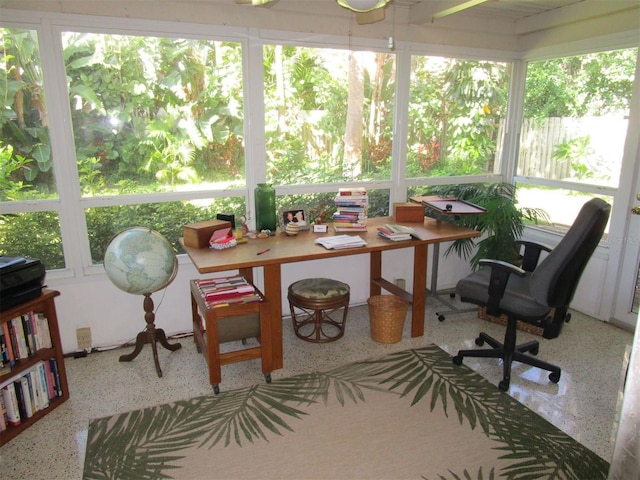 sunroom / solarium featuring a wealth of natural light