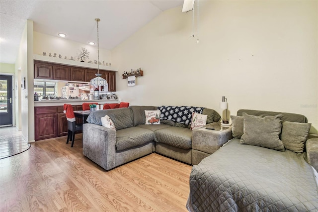 living room featuring vaulted ceiling and light hardwood / wood-style flooring