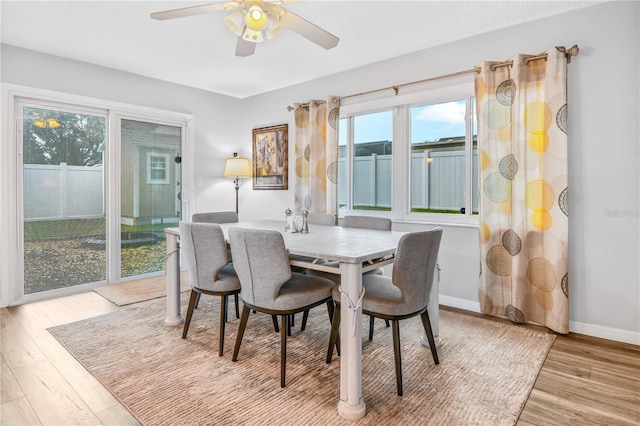 dining area featuring ceiling fan and light hardwood / wood-style floors