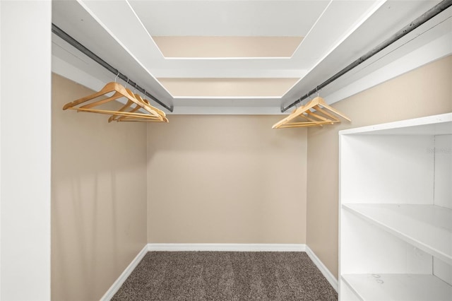 spacious closet featuring carpet flooring