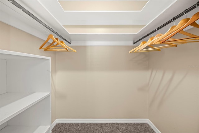 walk in closet featuring carpet floors