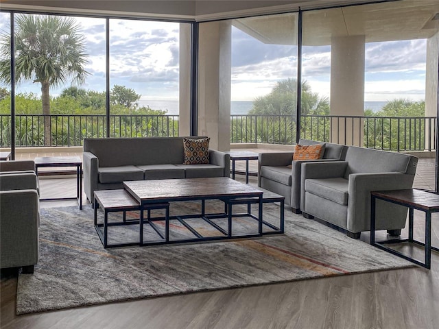 living room with a healthy amount of sunlight and hardwood / wood-style flooring