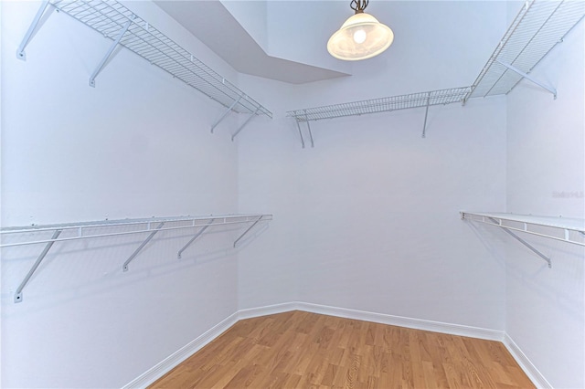 spacious closet featuring hardwood / wood-style flooring