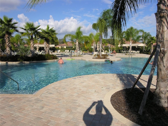 view of swimming pool with a patio area