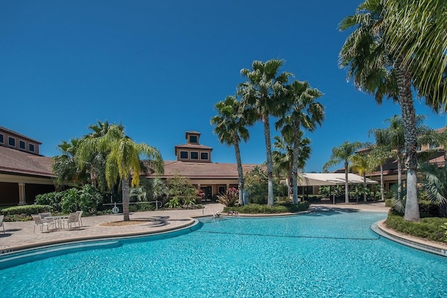 view of pool featuring a patio