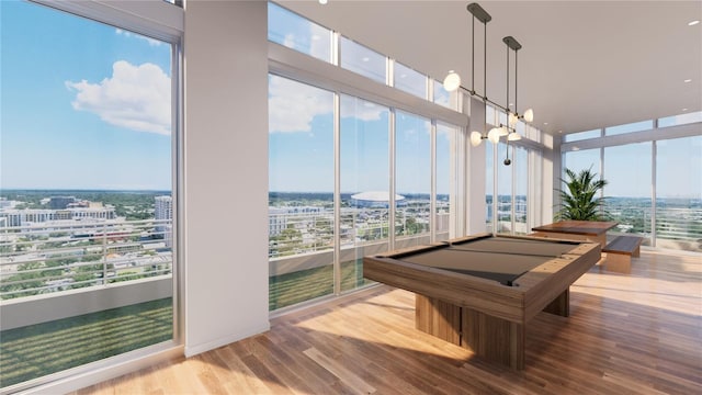 rec room featuring hardwood / wood-style floors, a healthy amount of sunlight, and pool table